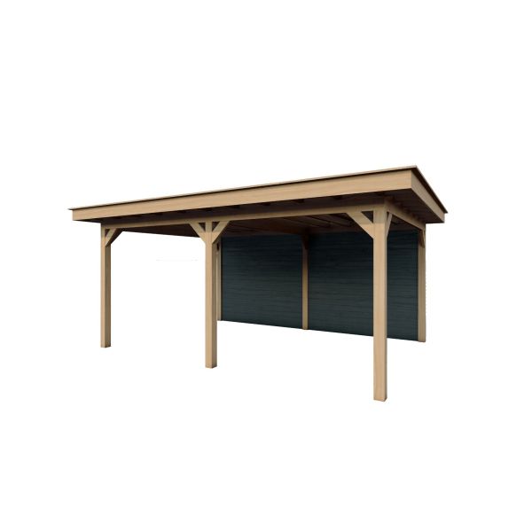 Overkapping Woodline 560cm x 380cm