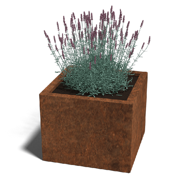Cortenstaal plantenbak Miami 50 x 50 cm