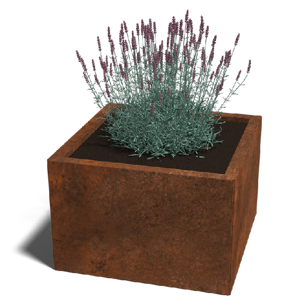 Cortenstaal plantenbak Miami 60 x 60 cm