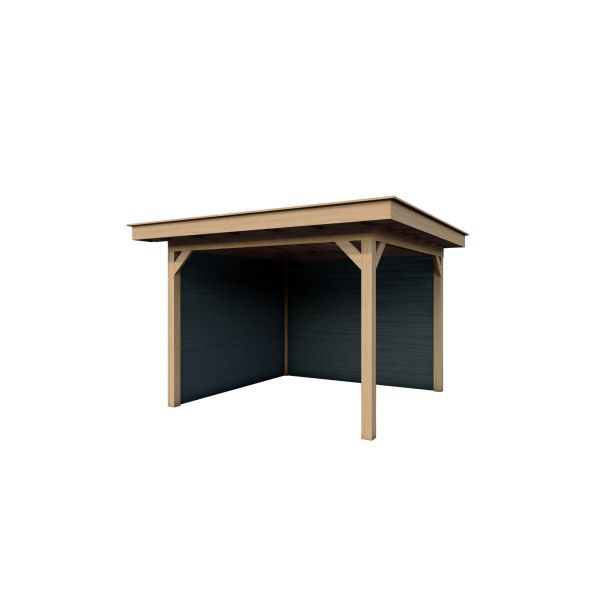 Overkapping Woodline 360cm x 280cm