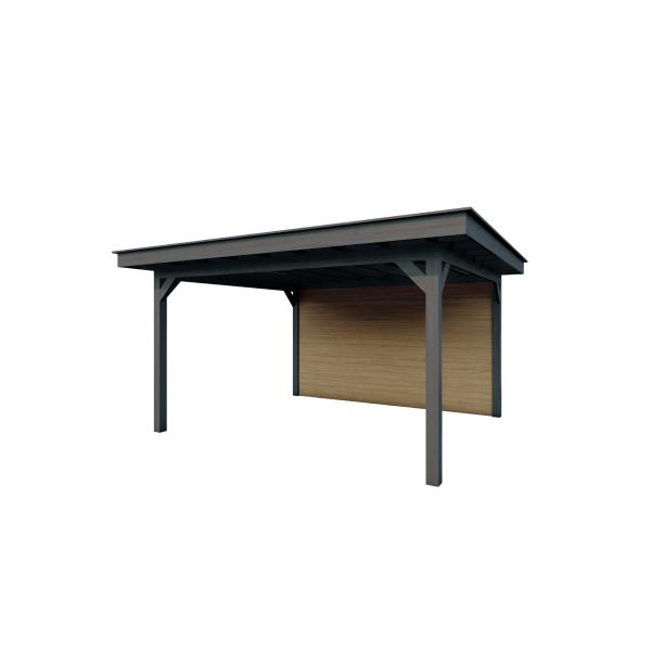 Overkapping Woodline 460cm x 380cm