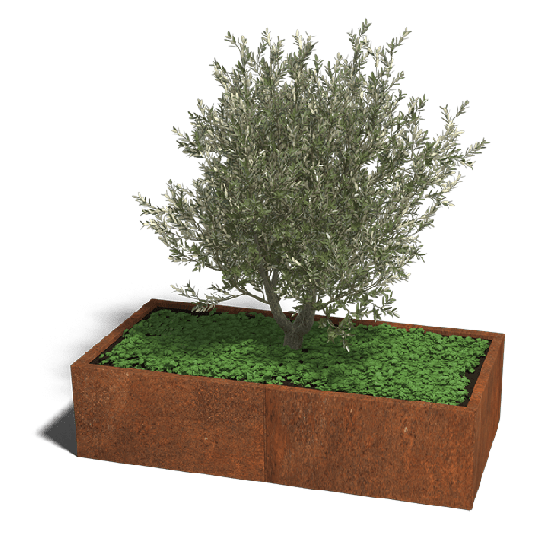 Cortenstaal plantenbak Texas xxl 160 x 80 cm