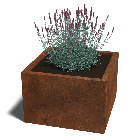 Cortenstaal plantenbak Miami 60 x 60 cm