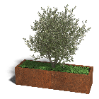 Cortenstaal plantenbak Texas xxl 160 x 50 cm