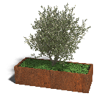 Cortenstaal plantenbak Texas xxl 160 x 60 cm