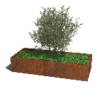 Cortenstaal plantenbak Texas xxl 200 x 80 cm