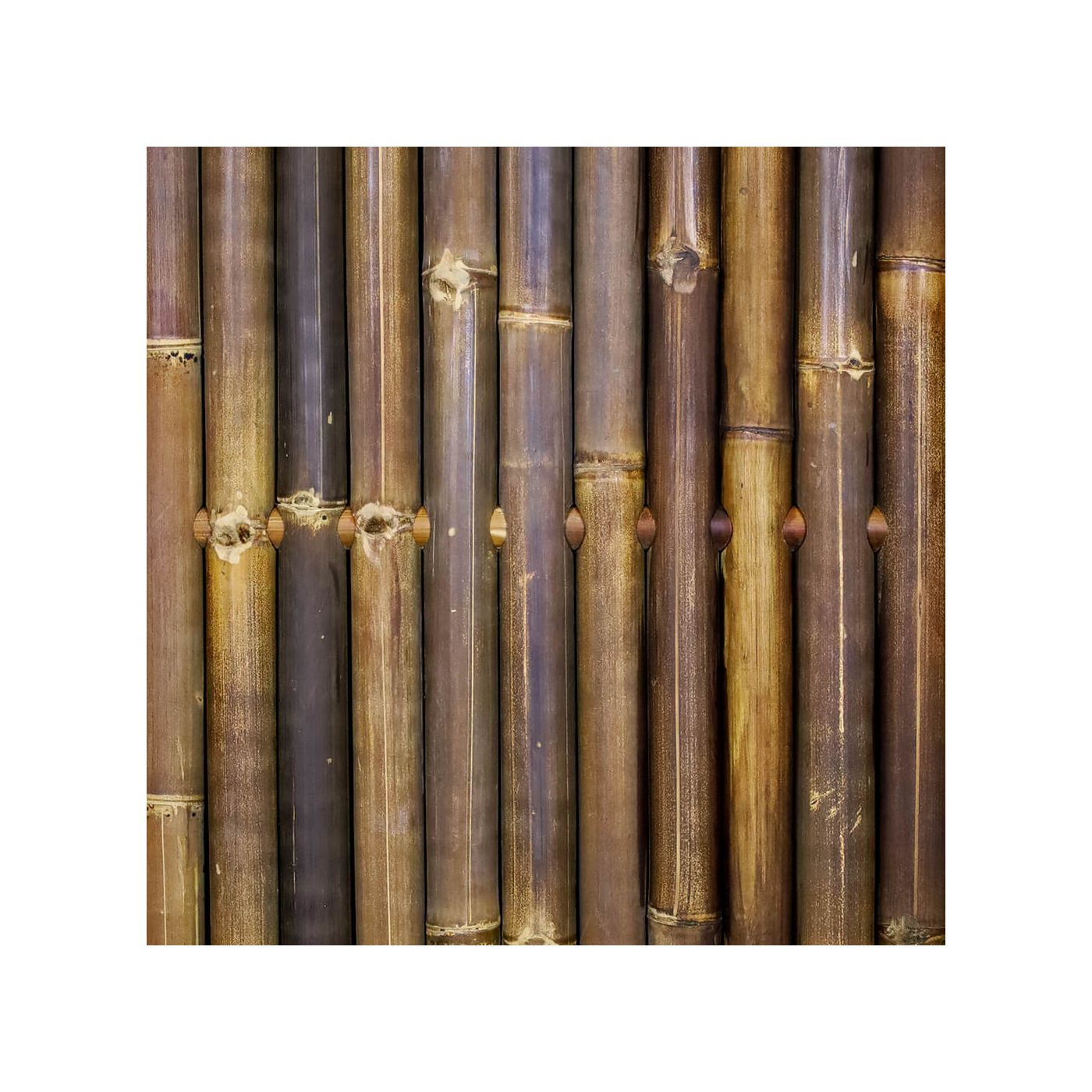 Bamboe schutting Giga - 90x200 cm - Donkerbruin