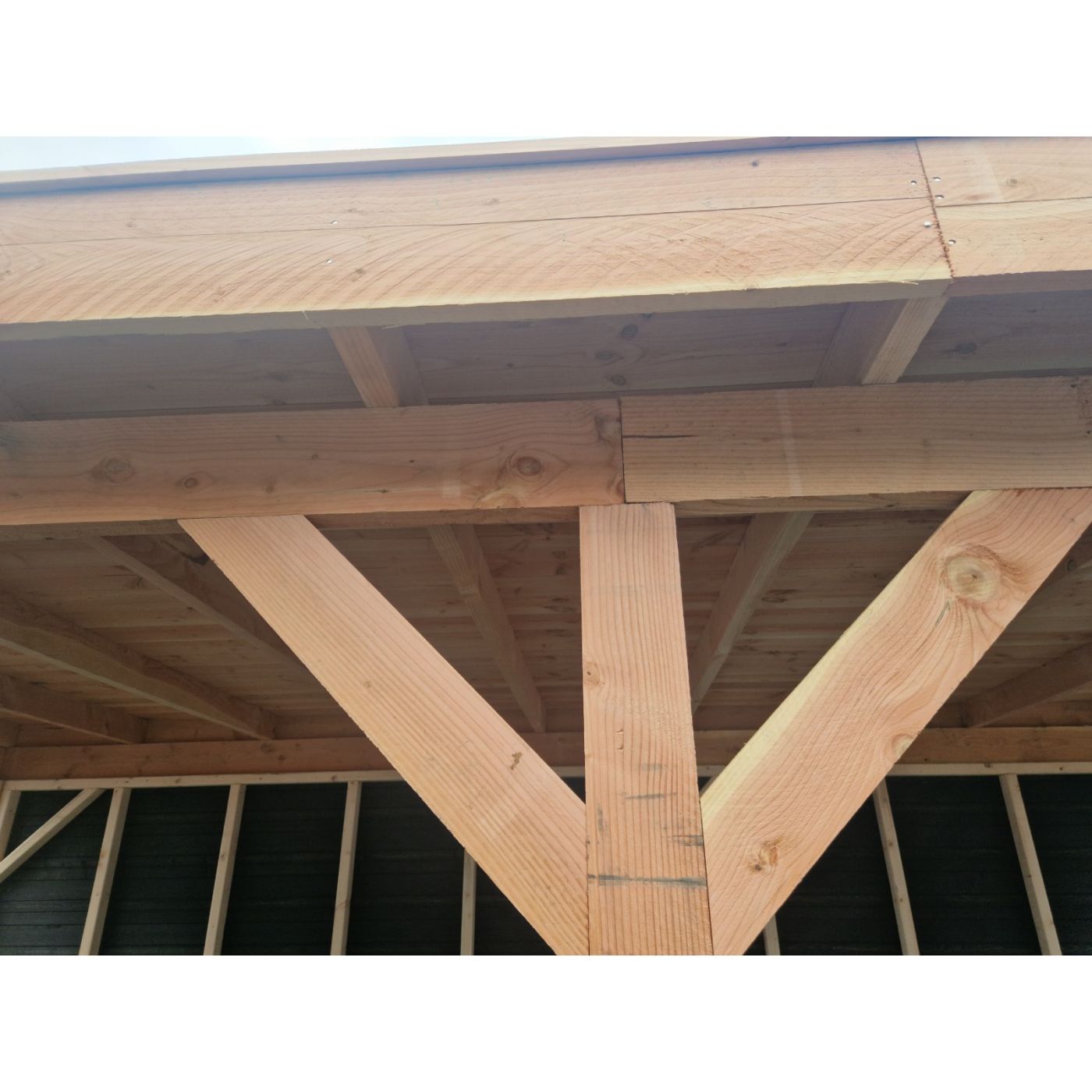 Overkapping Basic 500cm x 300cm met schuur 200cm