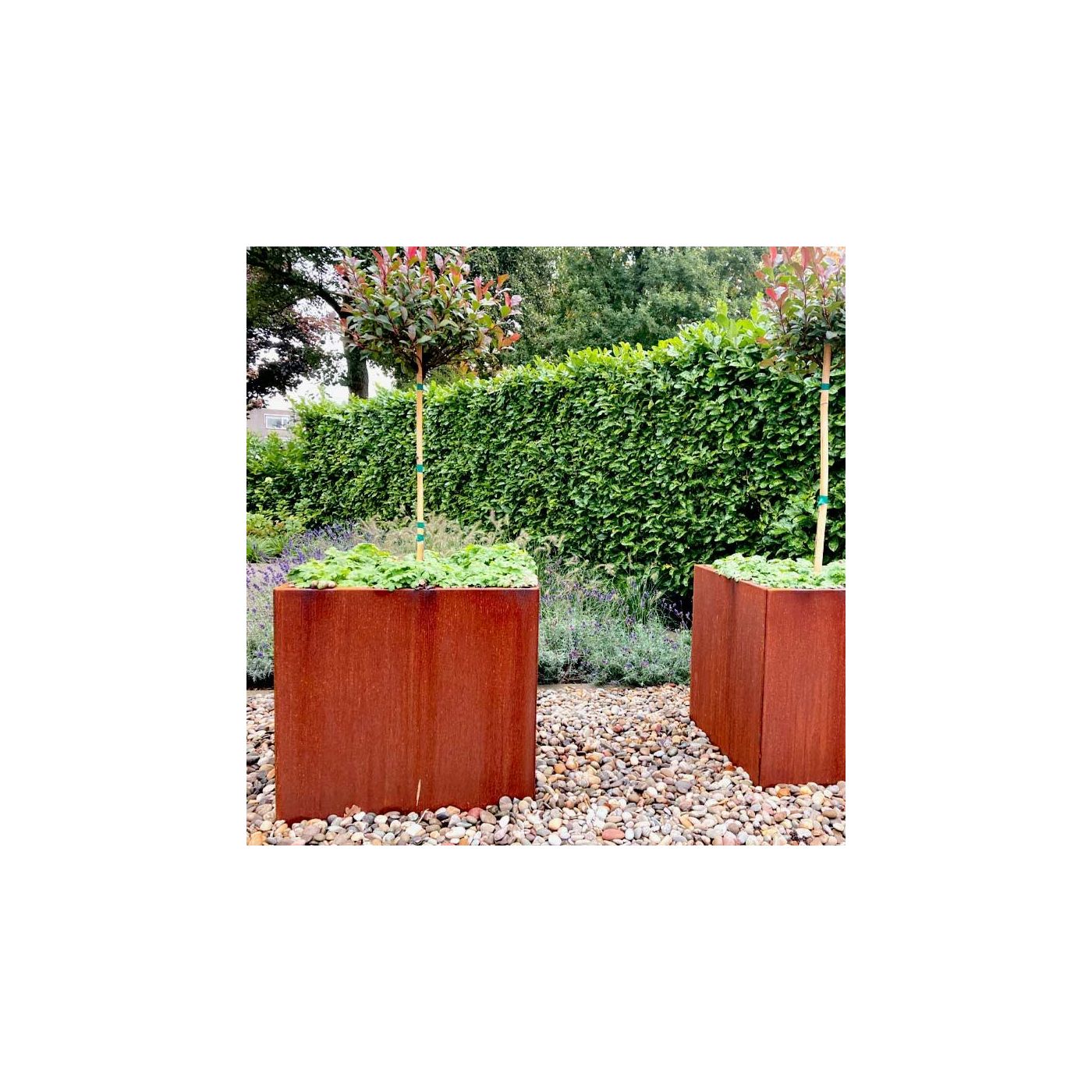 Cortenstaal plantenbak Miami 70 x 70 cm