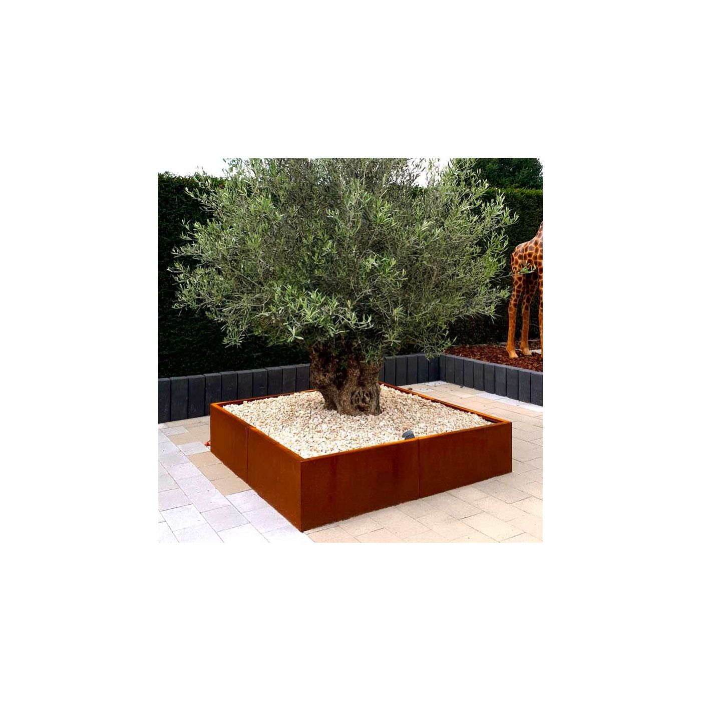 Cortenstaal plantenbak Miami xxl 160 x 160 cm
