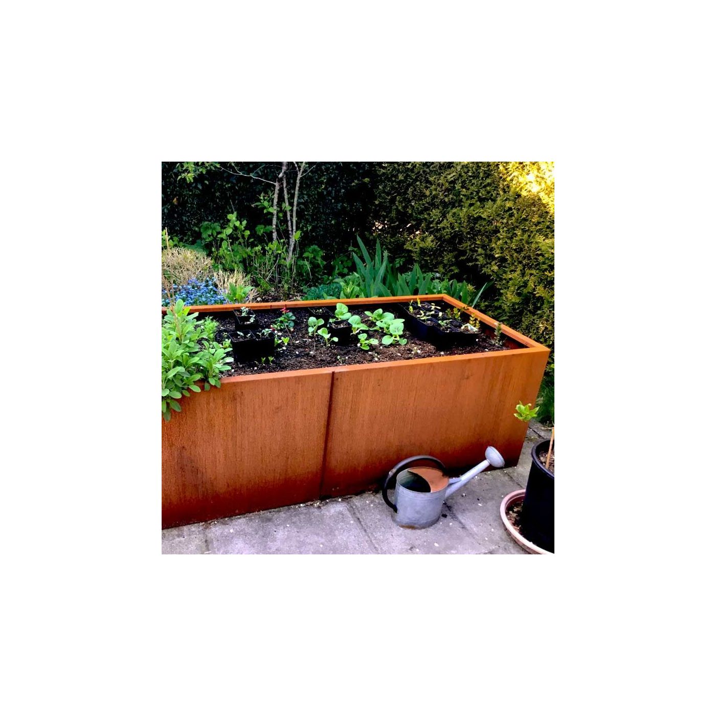 Cortenstaal plantenbak Texas xxl 200 x 80 cm