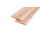 Douglas schutting plank 16 x 140 x 1800mm