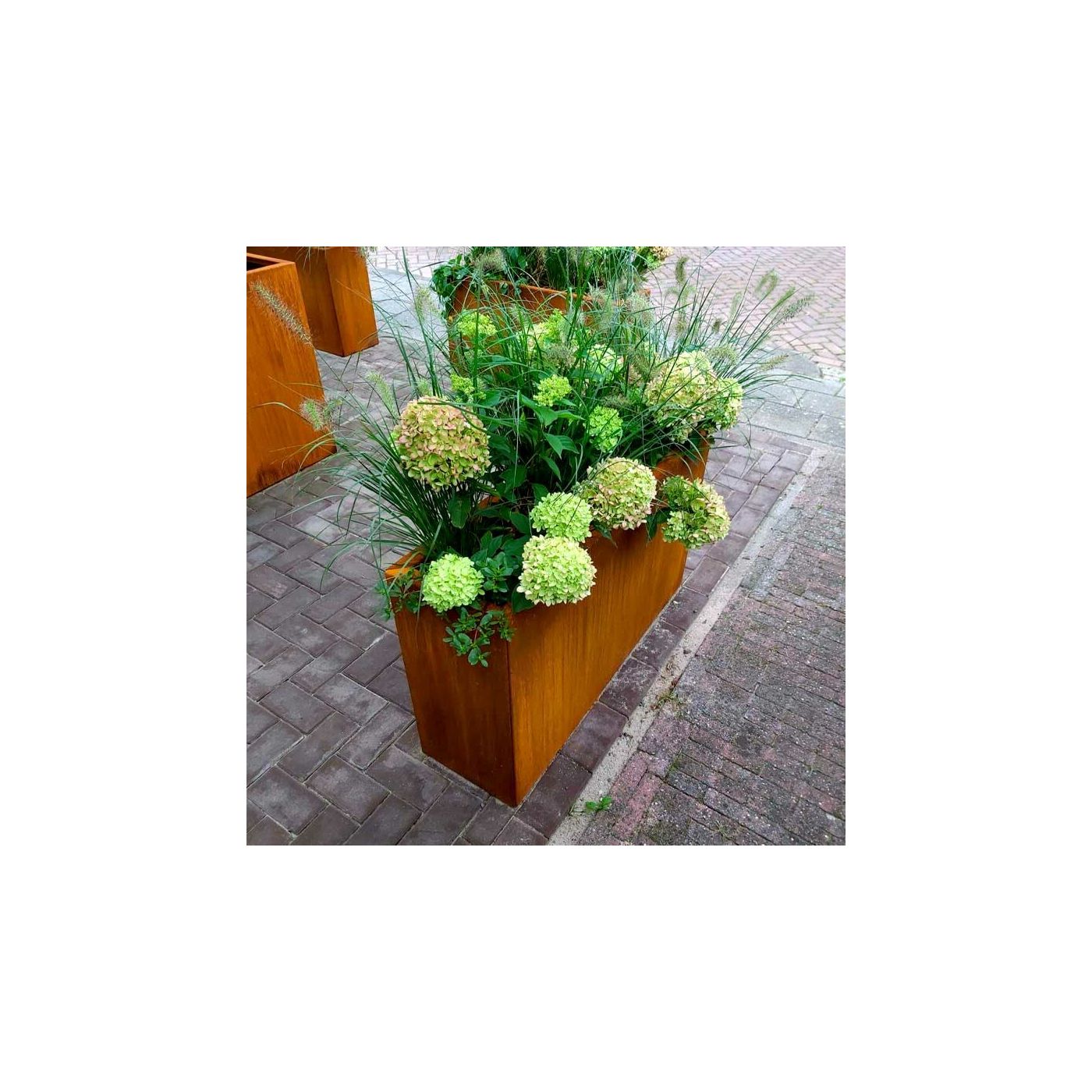 Cortenstaal plantenbak Texas 30 x 100 cm