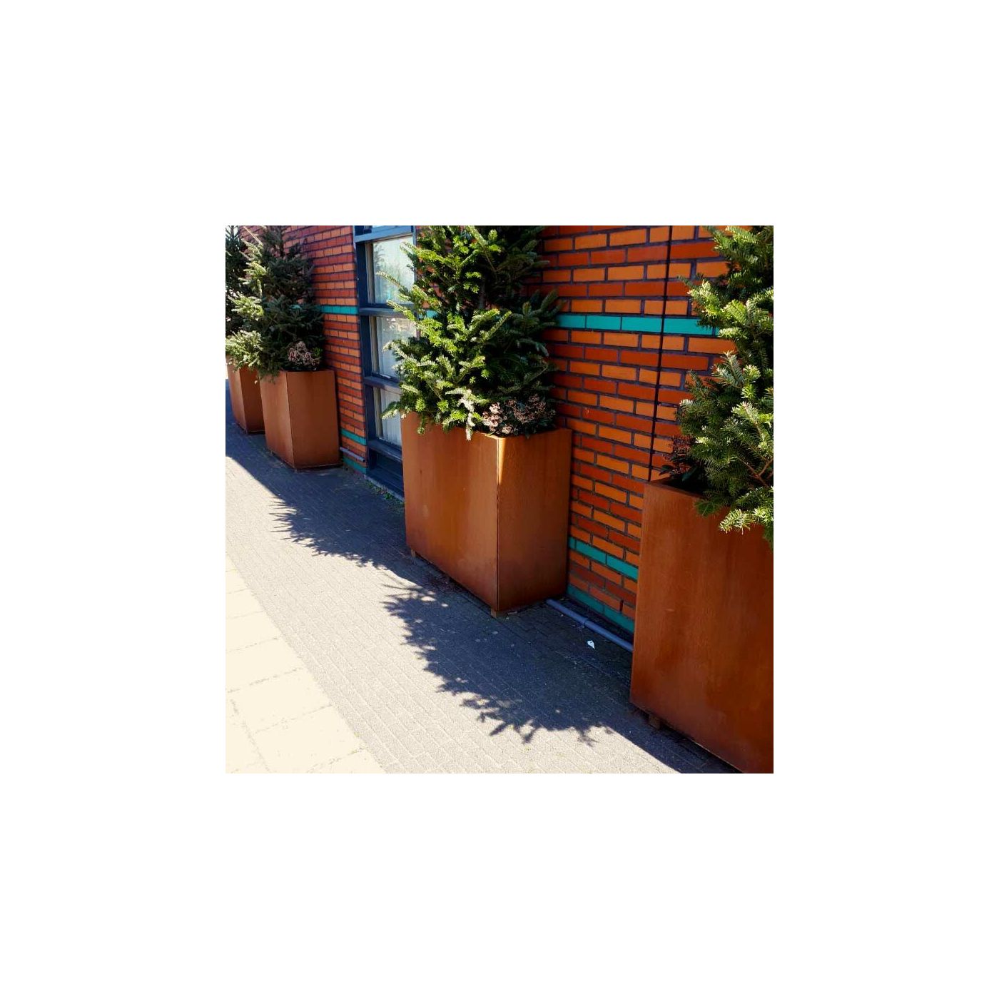 Cortenstaal plantenbak Texas 30 x 100 cm