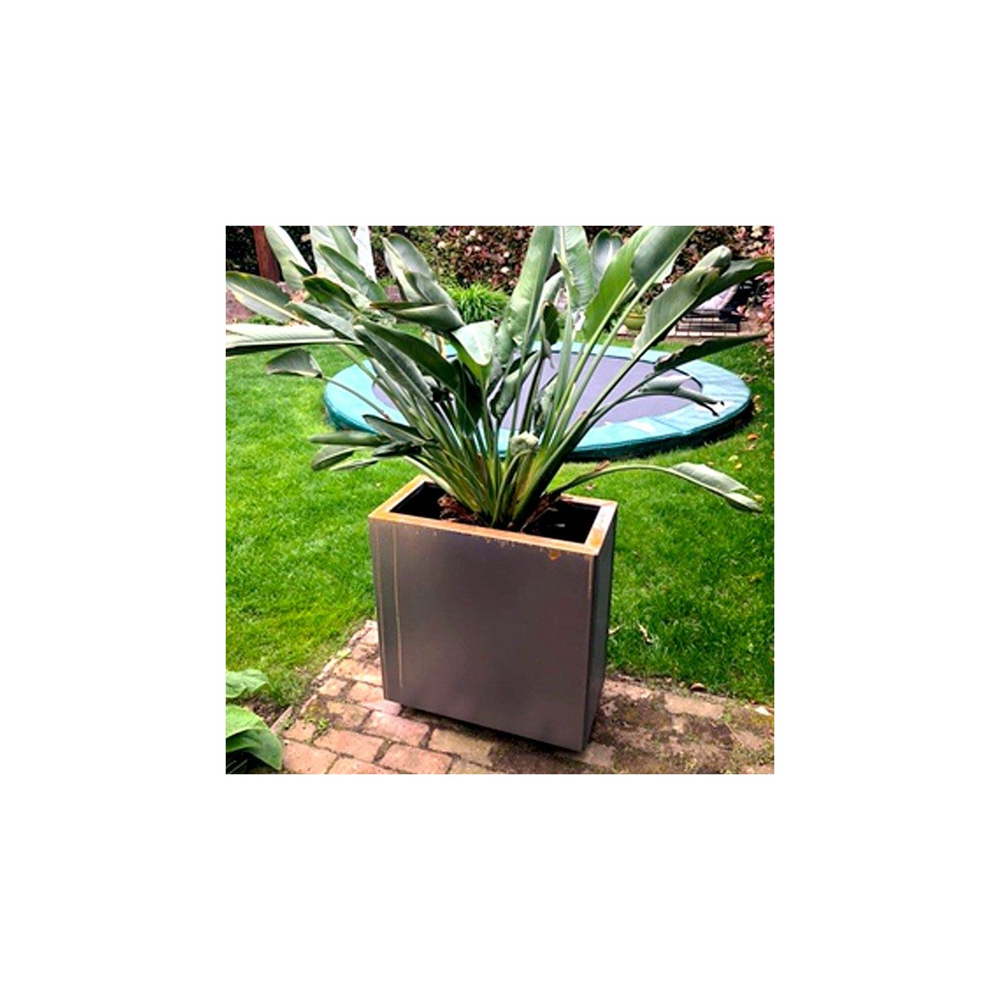 Cortenstaal plantenbak Texas 30 x 40 cm