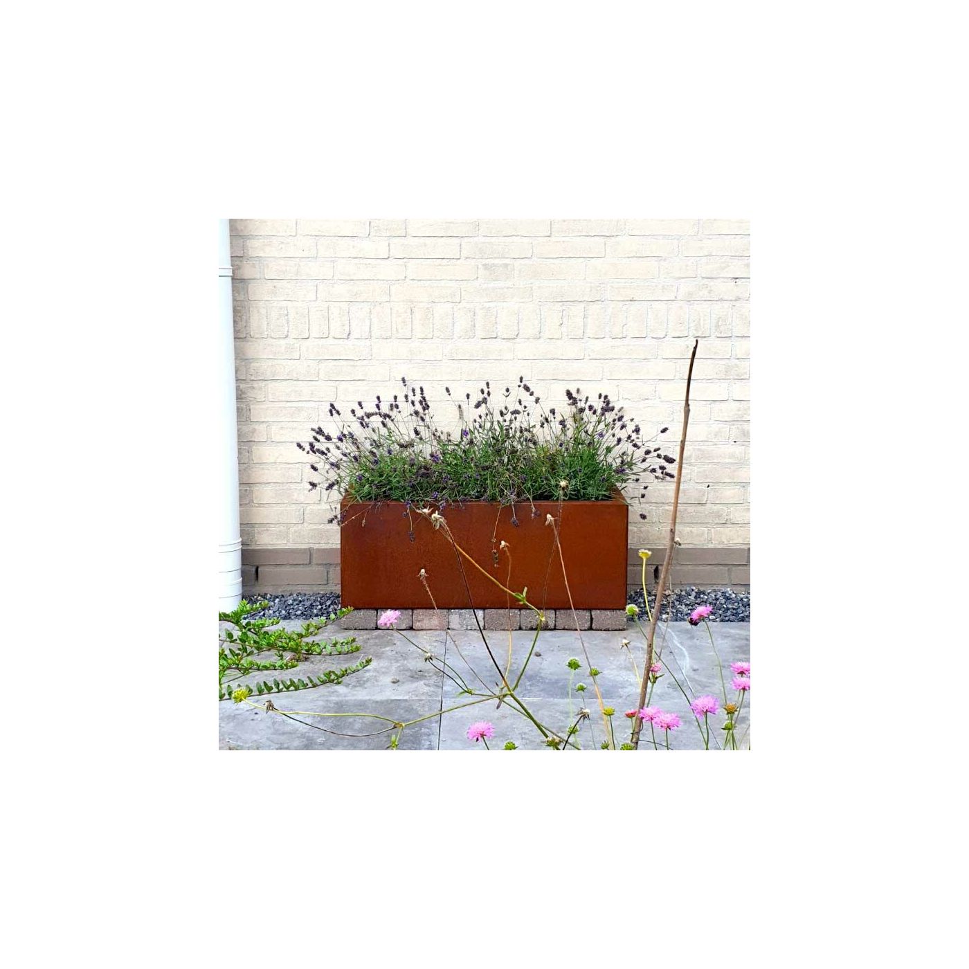 Cortenstaal plantenbak Texas 30 x 80 cm