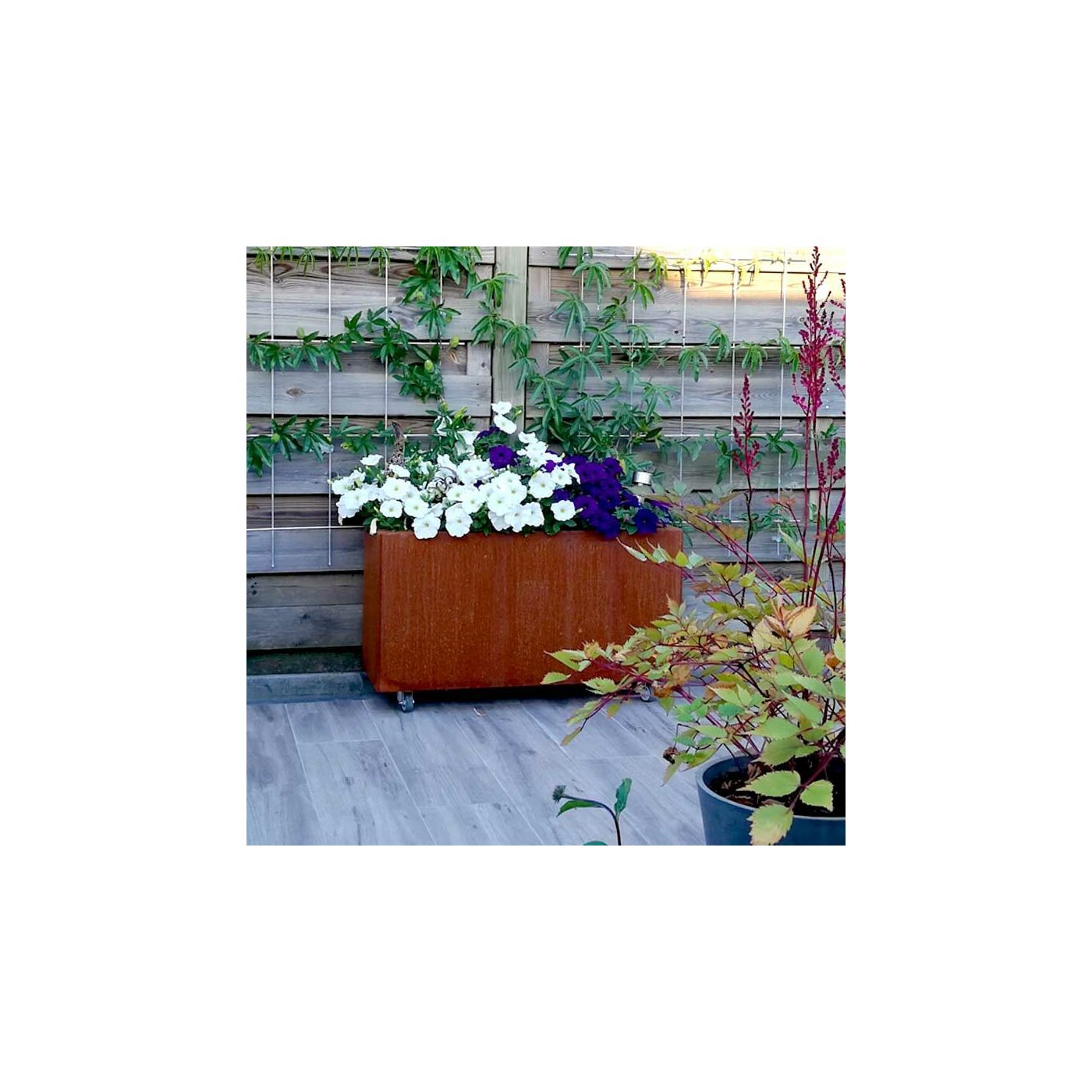 Cortenstaal plantenbak Texas 30 x 80 cm