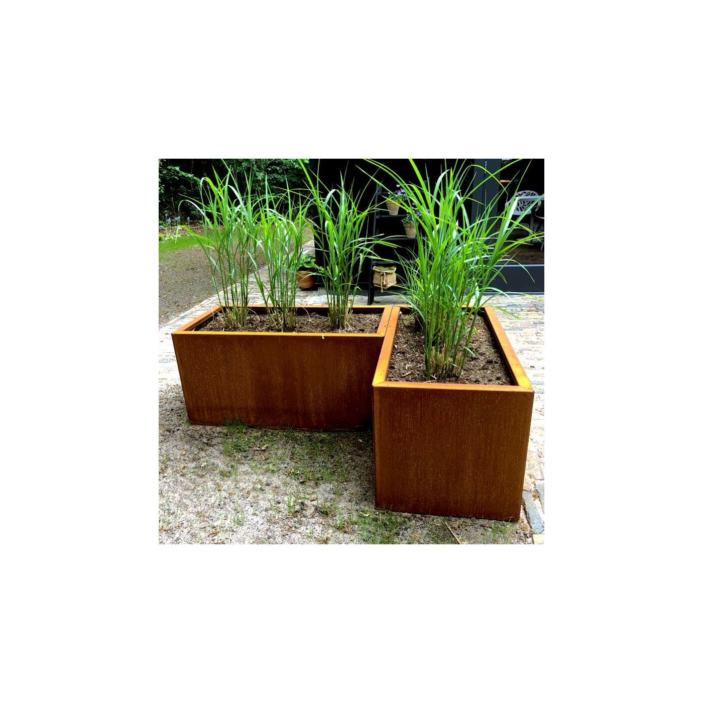 Cortenstaal plantenbak Texas 50 x 100 cm