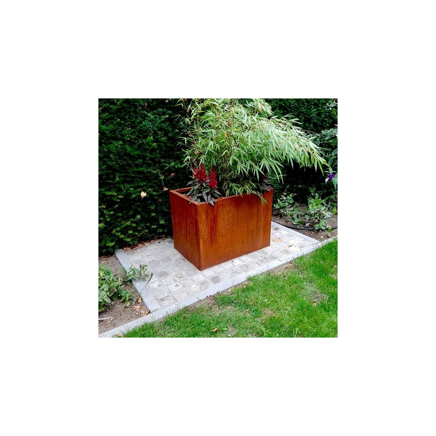 Cortenstaal plantenbak Texas 50 x 80 cm