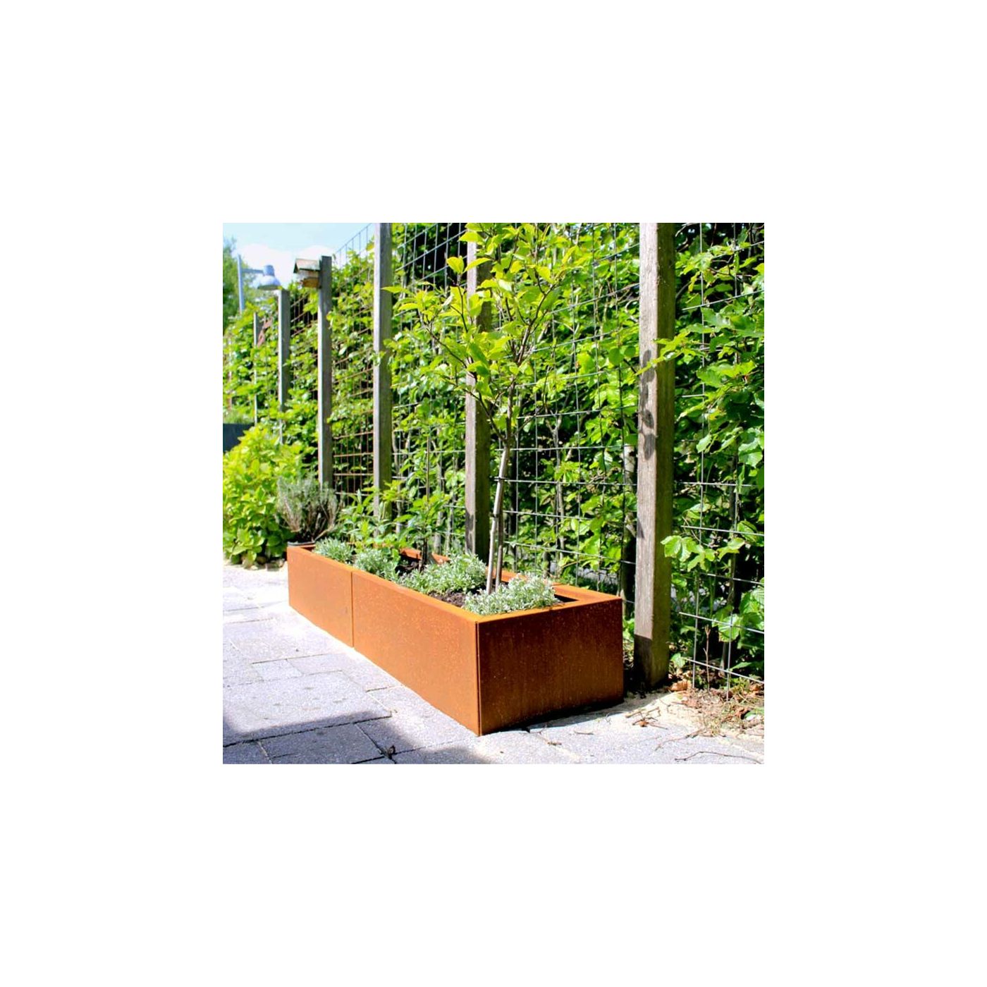 Cortenstaal plantenbak Texas xxl 160 x 40 cm