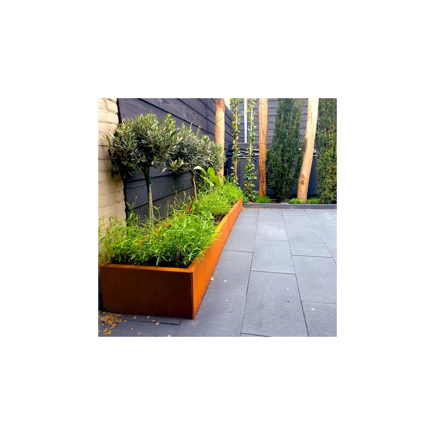 Cortenstaal plantenbak Texas xxl 200 x 100 cm