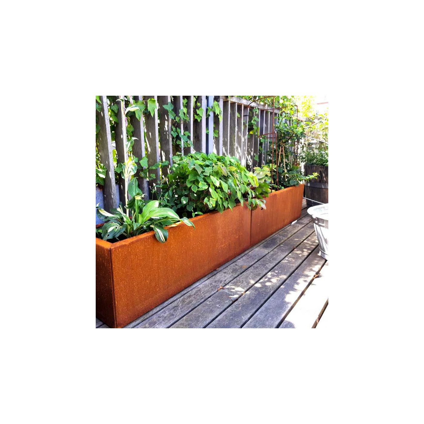 Cortenstaal plantenbak Texas xxl 200 x 30 cm