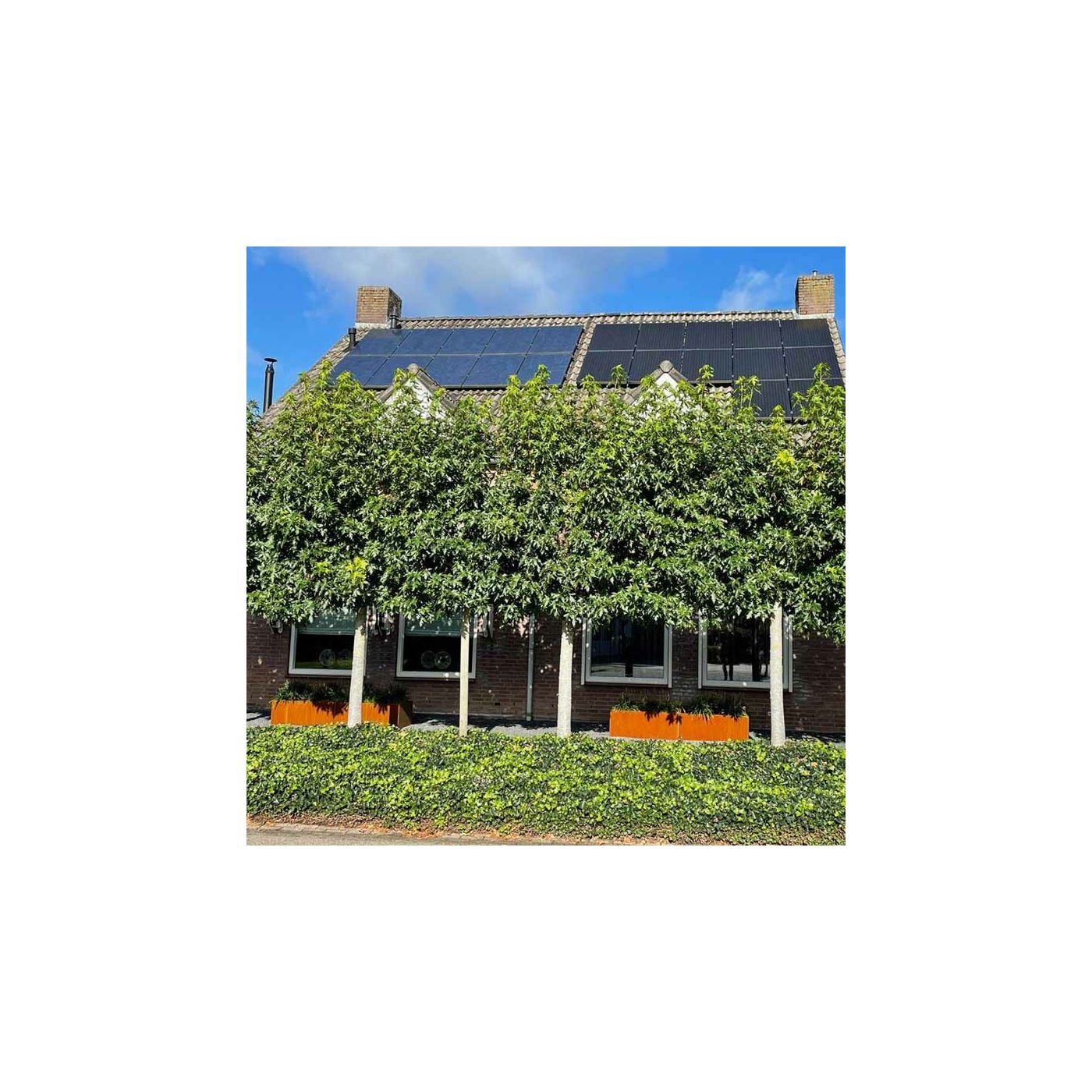 Cortenstaal plantenbak Texas xxl 200 x 60 cm